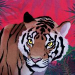 Man vs Avni: Why We Are All Responsible for the Tigress’s Death