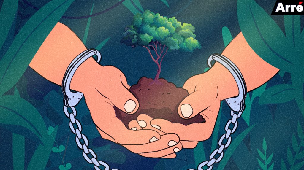 India’s Two-Faced Eco-Activism: We Celebrate Van Mahotsav and then Axe Trees At Aarey
